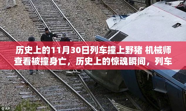 列車與野豬的驚魂瞬間，機械師查看被撞身亡的歷史悲劇