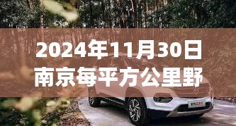 南京野豬數(shù)量增長背后的生態(tài)故事，2024年11月30日南京每平方公里野豬超四頭的新篇章