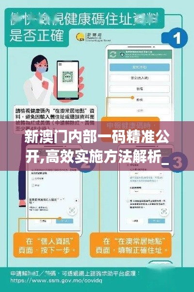 新澳門內(nèi)部一碼精準公開,高效實施方法解析_Pixel8.694