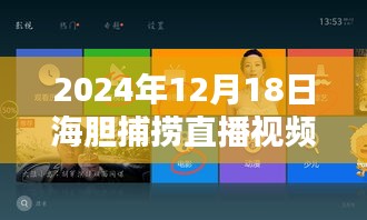 小紅書教你輕松獲取高清海膽捕撈直播視頻，全攻略下載指南