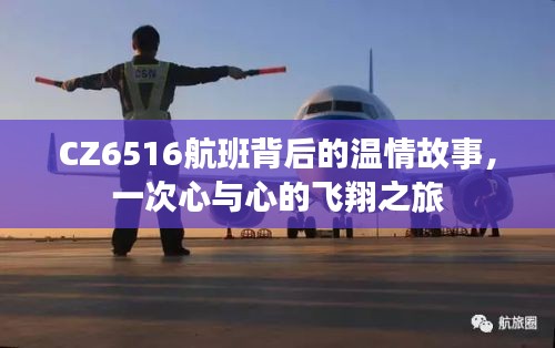 CZ6516航班，心與心的飛翔之旅溫情故事