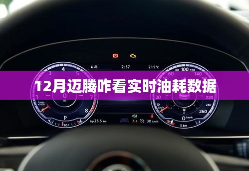 邁騰實時油耗查看指南，12月必備知識