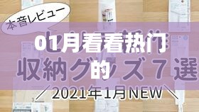 熱門趨勢(shì)大揭秘，一月份熱門看點(diǎn)