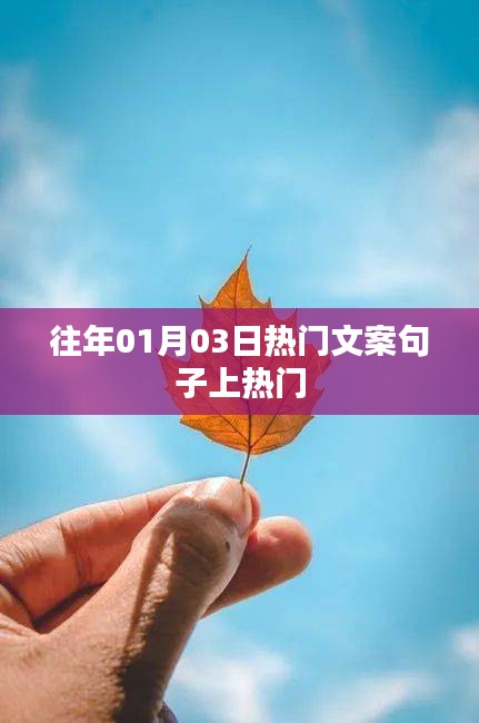 熱門(mén)文案句子盤(pán)點(diǎn)，歷年一月初三火爆文案回顧
