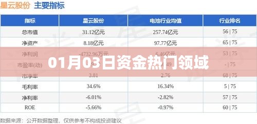 熱門資金流向領(lǐng)域動態(tài)解析