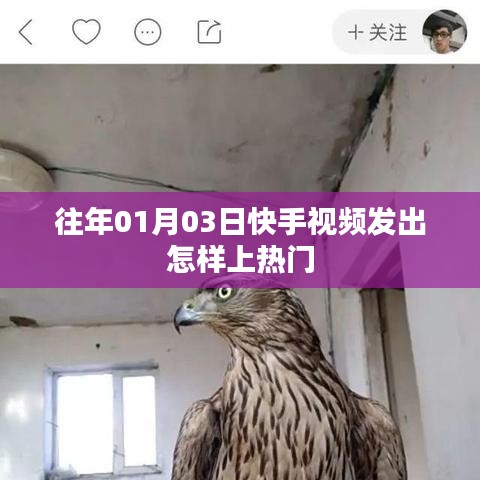 快手視頻上熱門攻略，時間、策略全解析