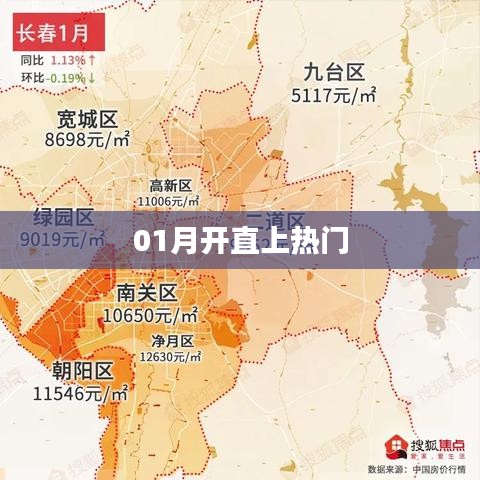 熱門(mén)趨勢(shì)解析，一月開(kāi)啟新篇章