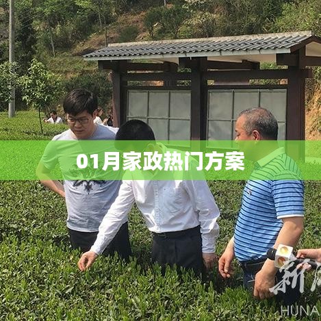 家政熱門方案精選，新年新氣象