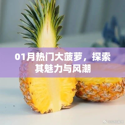 探索大菠蘿魅力與風(fēng)潮，一月熱門揭秘
